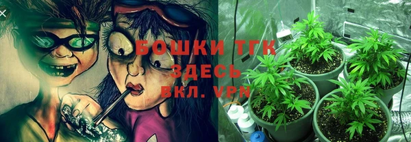 mix Богородск
