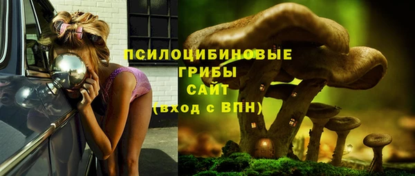 mix Богородск