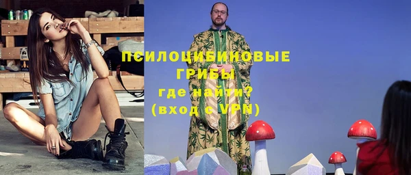 хмурый Богородицк
