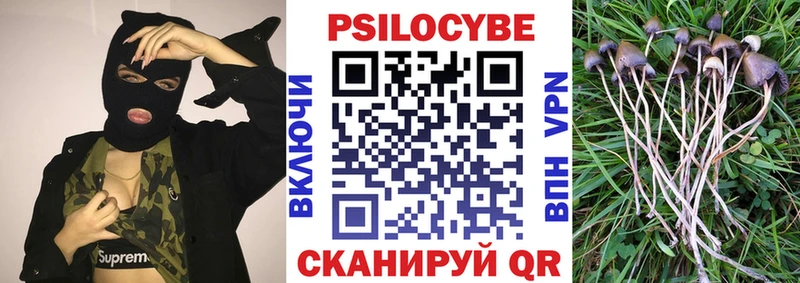 Псилоцибиновые грибы прущие грибы  Светлый 