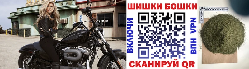 Конопля SATIVA & INDICA  наркотики  гидра ссылки  Светлый 